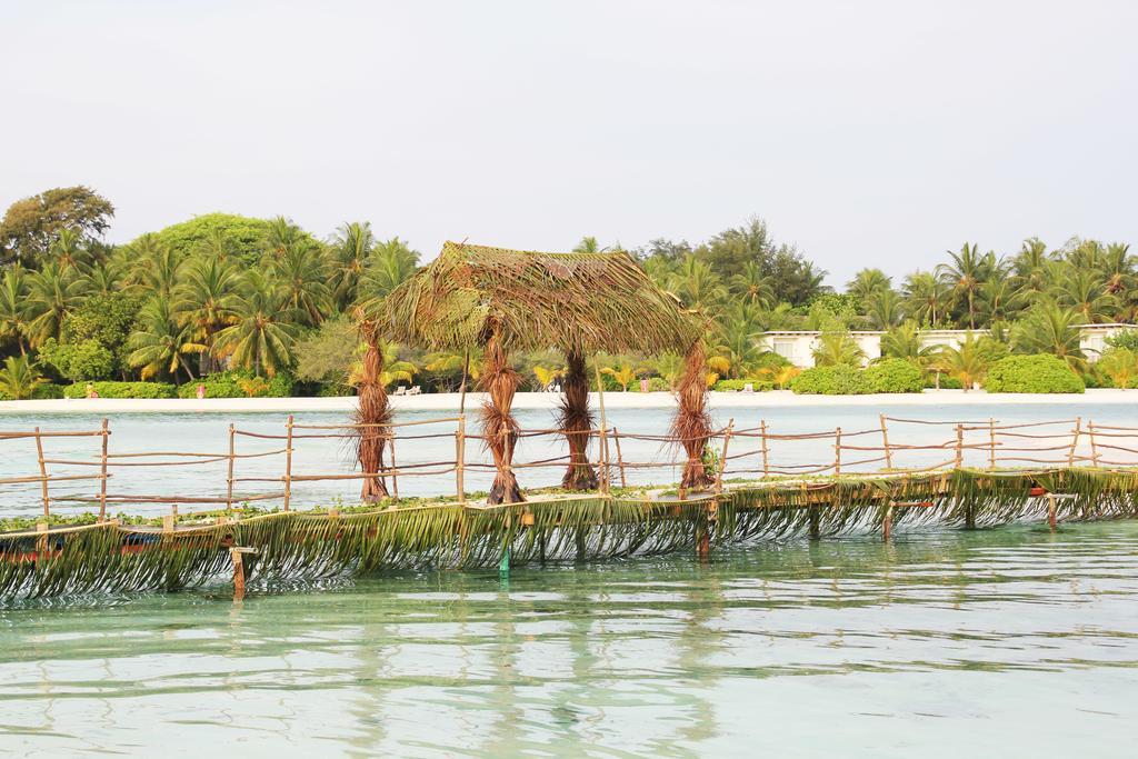 Kaafu Inn Guraidhoo Exterior photo