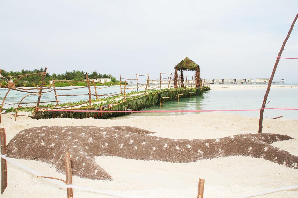 Kaafu Inn Guraidhoo Exterior photo