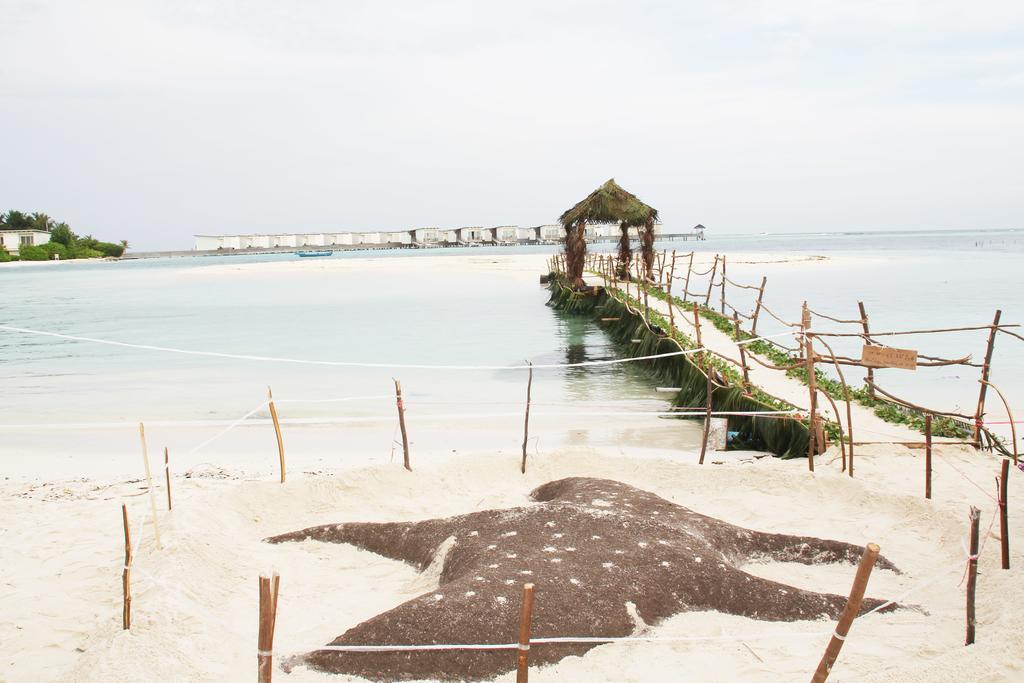 Kaafu Inn Guraidhoo Exterior photo