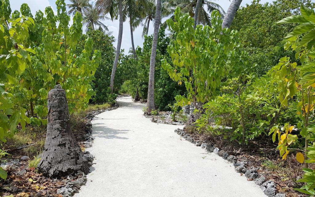 Kaafu Inn Guraidhoo Exterior photo